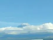 タイヨウの画像