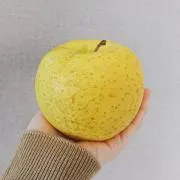 makicariの画像