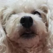 さなの画像