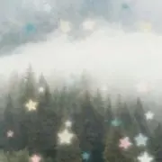cocoの画像