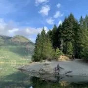 モガの画像
