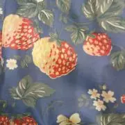 tetoraの画像