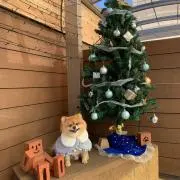 百々の画像