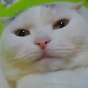 かちゅ