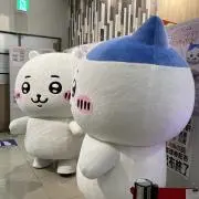 しなしなの画像