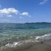 ごましおの画像