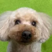 ななみっち