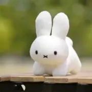 しぃず