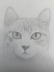 ユマの画像