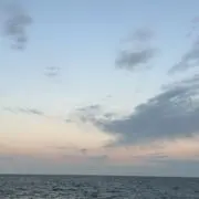 やくまるの画像