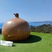 ぺるるの画像