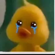 ひよこの画像