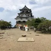 トコ・スカイウォーカーの画像