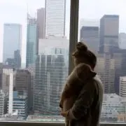Hitomiの画像