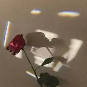 ちょこ。の画像