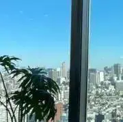 mctoilの画像