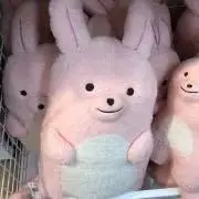 たまおの画像