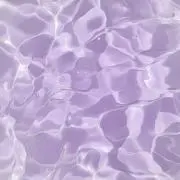 さばの画像