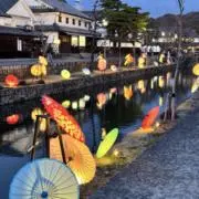 ノアの画像