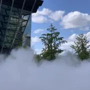 みーの画像