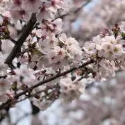ＭＭの画像