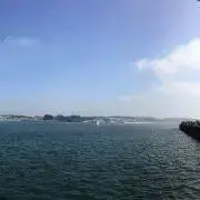 ごりらど