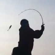 エギ君