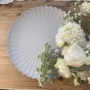 にこたろの画像