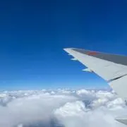 メロンあいすの画像