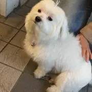 みか(断捨離中)の画像