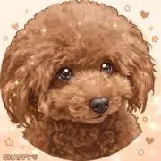 eclosetの画像