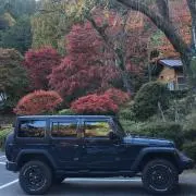 ととまつの画像