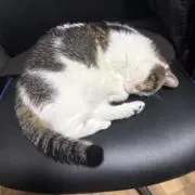 イクキ
