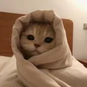 まつのんのん