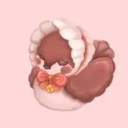 すずめの画像