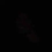 りんちゃん