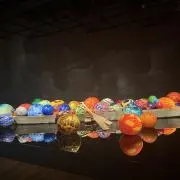 ズッキーニの画像