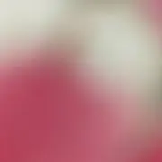 ゆう
