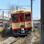 仙センの画像