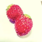 いちごの画像