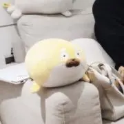 ぽわの画像