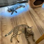 とも