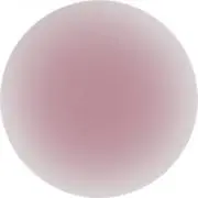 taruの画像