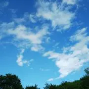 H64の画像