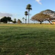 やす
