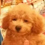 じゅんじゅん