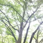 ※RIKO ※プロフ必読願いますの画像