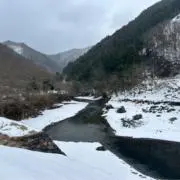 イヌ