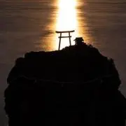 バックヤードの画像