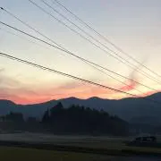 バニーの画像